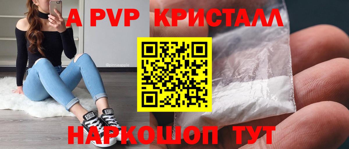 APVP СК КРИС Великий Новгород