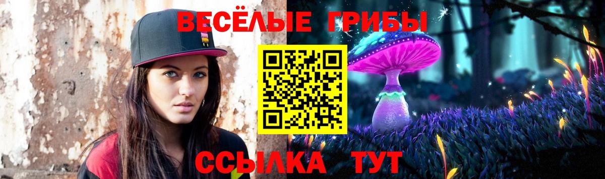 Галлюциногенные грибы мухоморы Великий Новгород