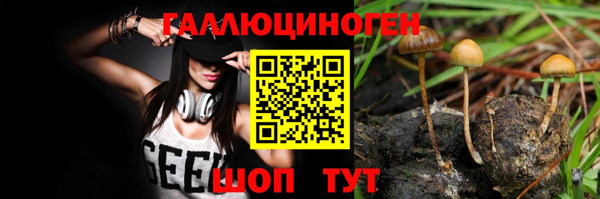 Великий Новгород  Галлюциногенные грибы MAGIC MUSHROOMS  Вход с VPN  Галлюциногенные грибы мицелий 