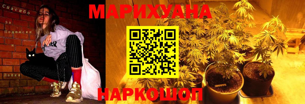 Конопля сатива  Бошки Шишки индика  Канабис индика  Великий Новгород  Вход с VPN 